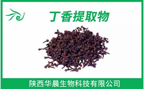 丁香提取物、母丁香提取物、公丁香提取物