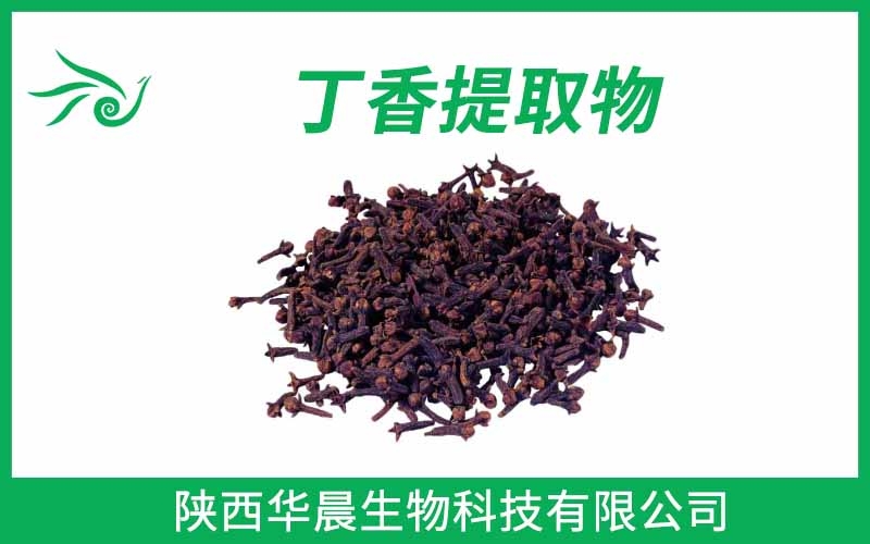 丁香提取物、母丁香提取物、公丁香提取物