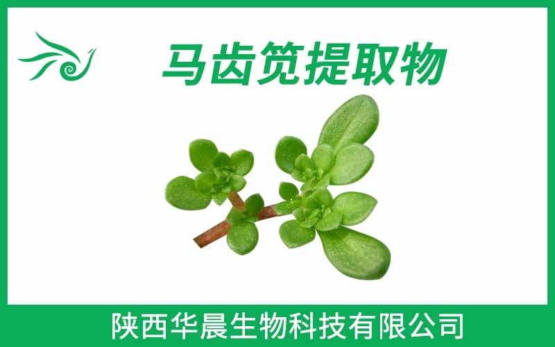 馬齒莧提取物、馬齒筧提取物