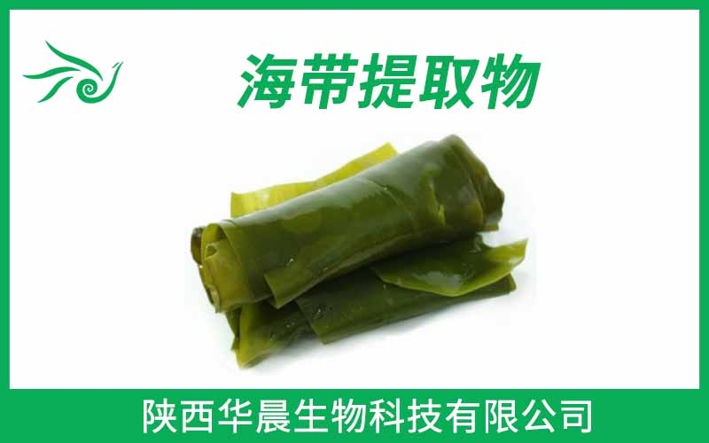 海帶提取物、昆布提取物