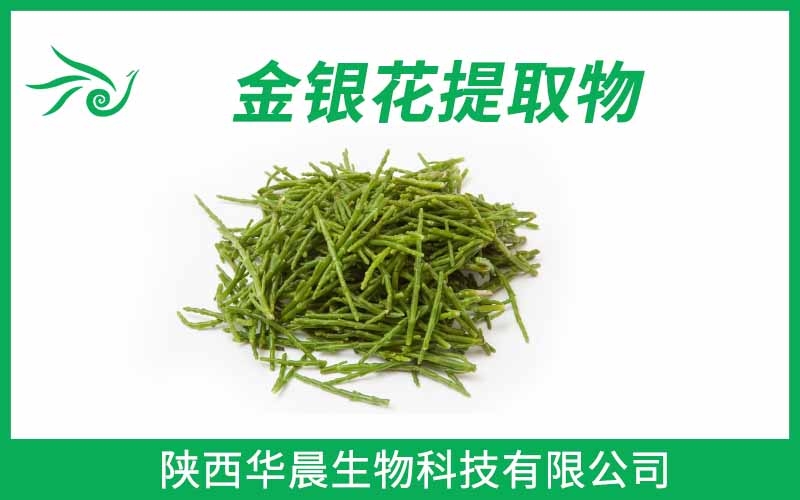 金銀花提取物