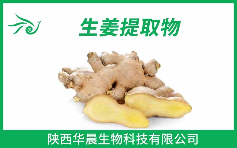 生姜提取物