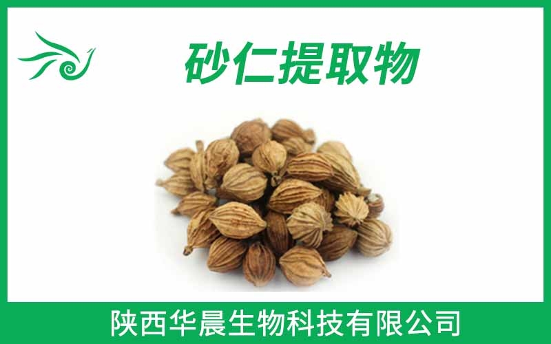 砂仁提取物