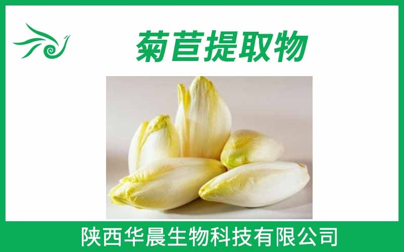 菊粉、菊芋提取物、菊苣提取物
